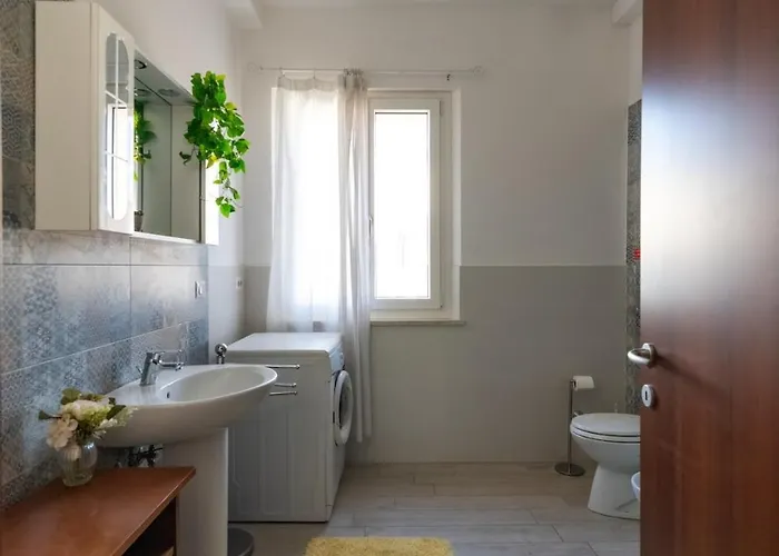 The Coastal Urban Oasis